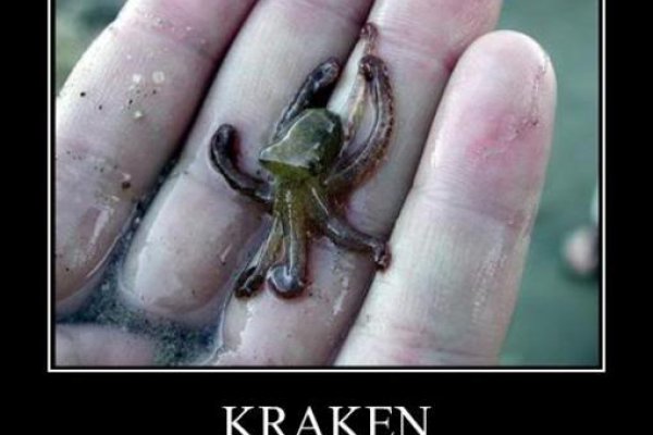 Kraken маркетплейс зеркала